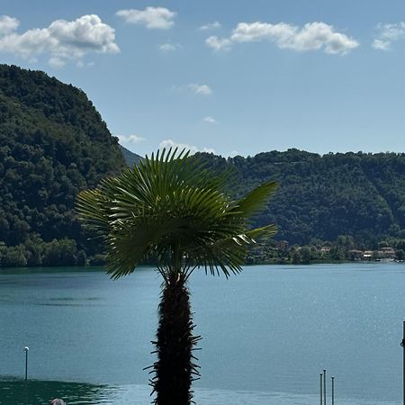 Neue Gartenwohnung Mit Sicht Auf Den Luganersee Ponte Tresa Exterior foto